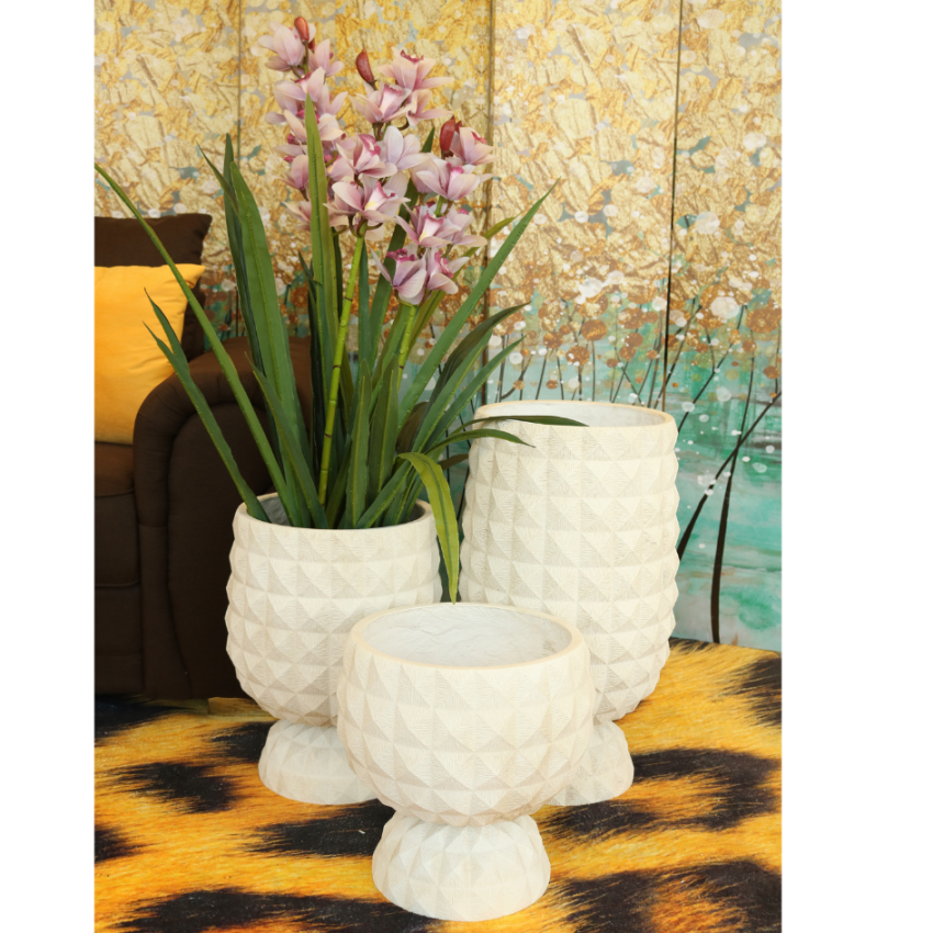 Apollo cement plant pot