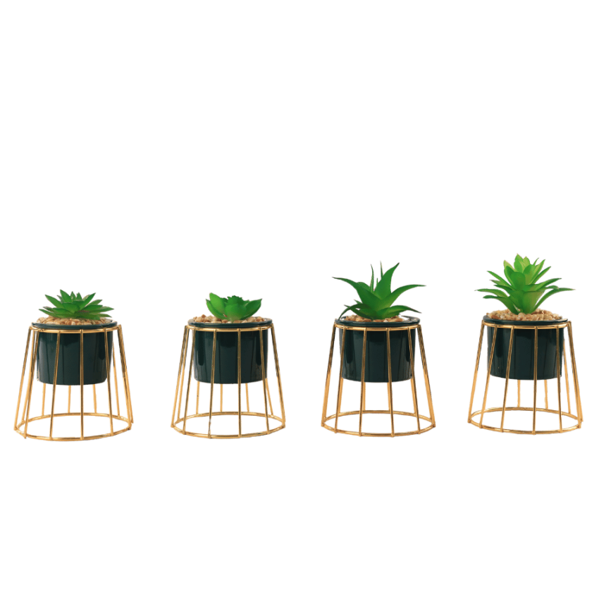 Modern glam 23cm potted plants