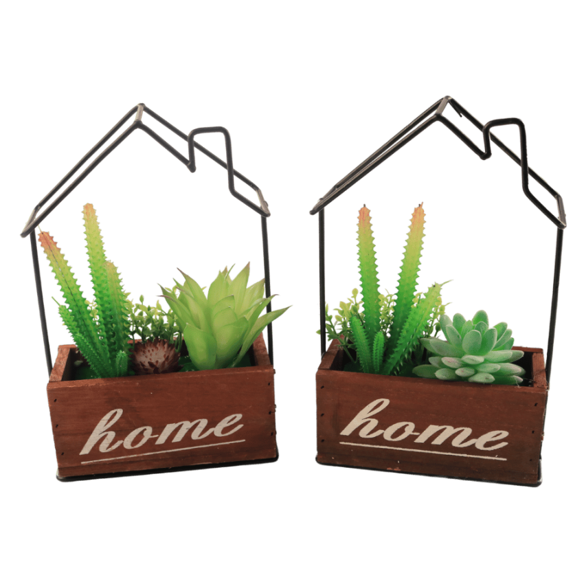 Home 23cm garden plants