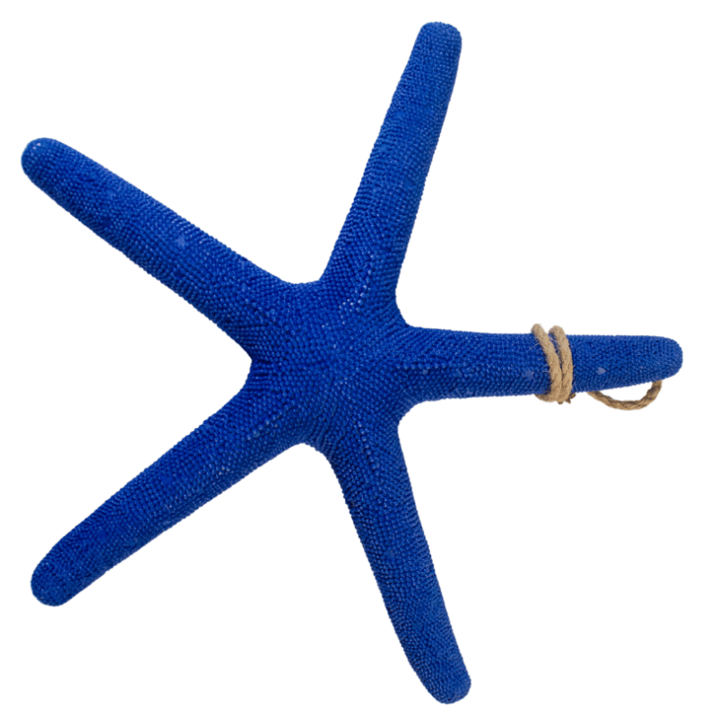 Sea star 38cm hanging star fish