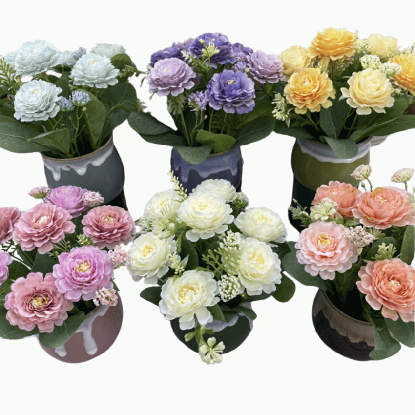 Penny blossom 22cm potted flower