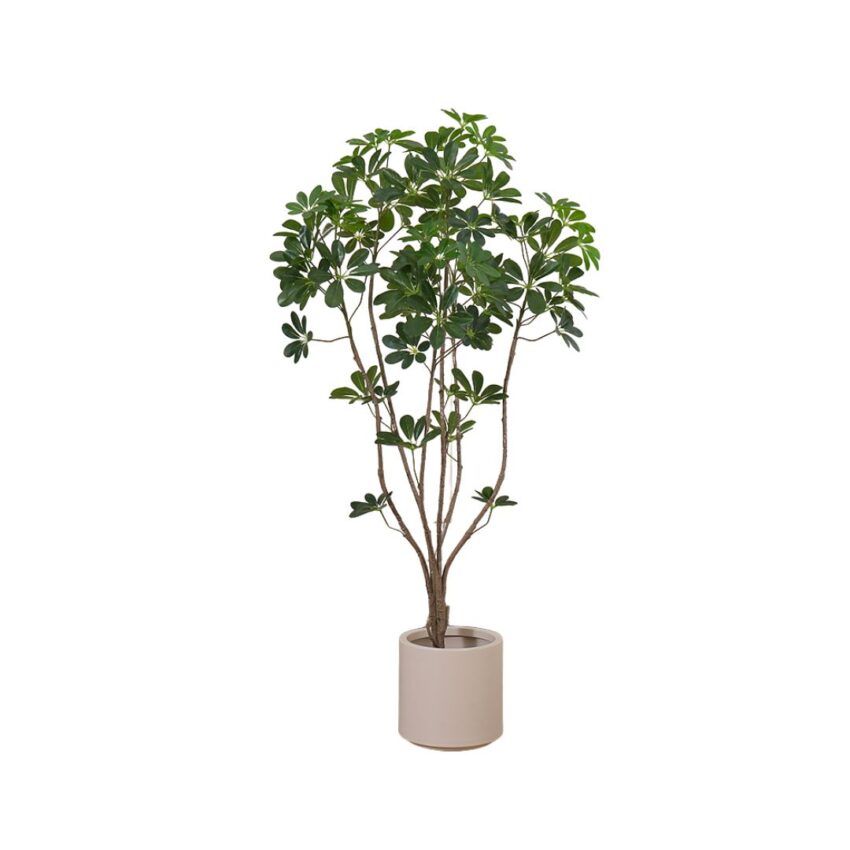 Artificial Schefflera 5ft tree w/pot
