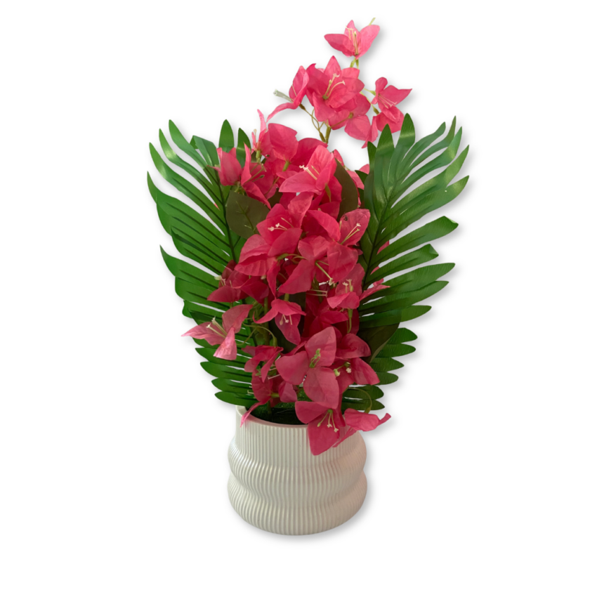 Gardenia 46cm Bougainvillea Potted plant