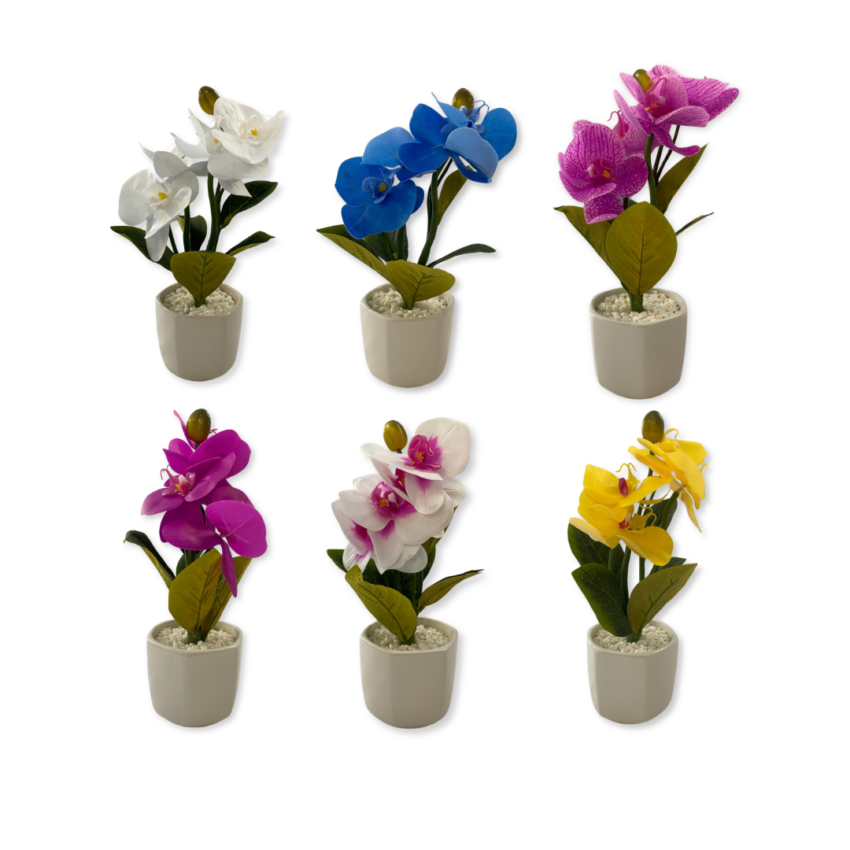 Simple Bloom 30cm Orchid Potted Plant