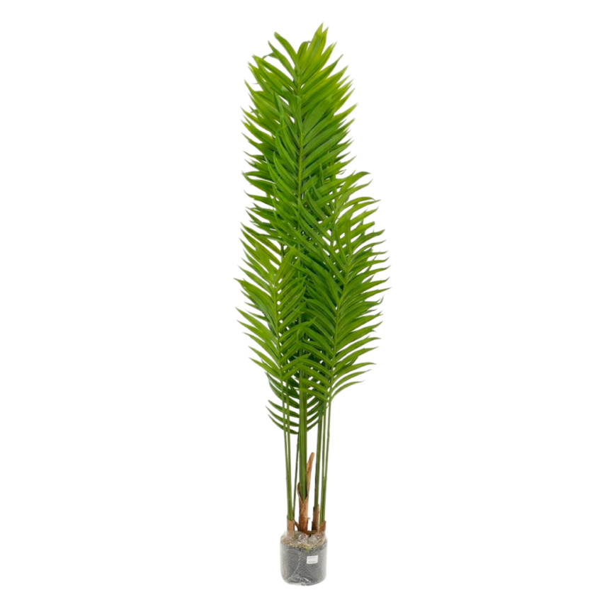 Artificial Areca Palm 5.5ft With Pot