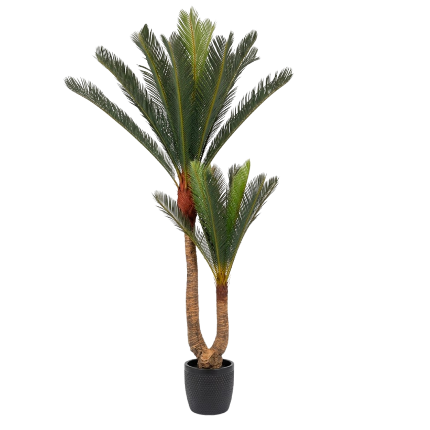 Artificial Cycas 6ft w/ pot