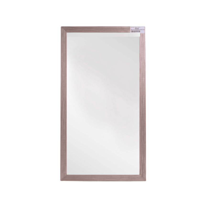 Reflecto 30cmX60cm Mirror Frame