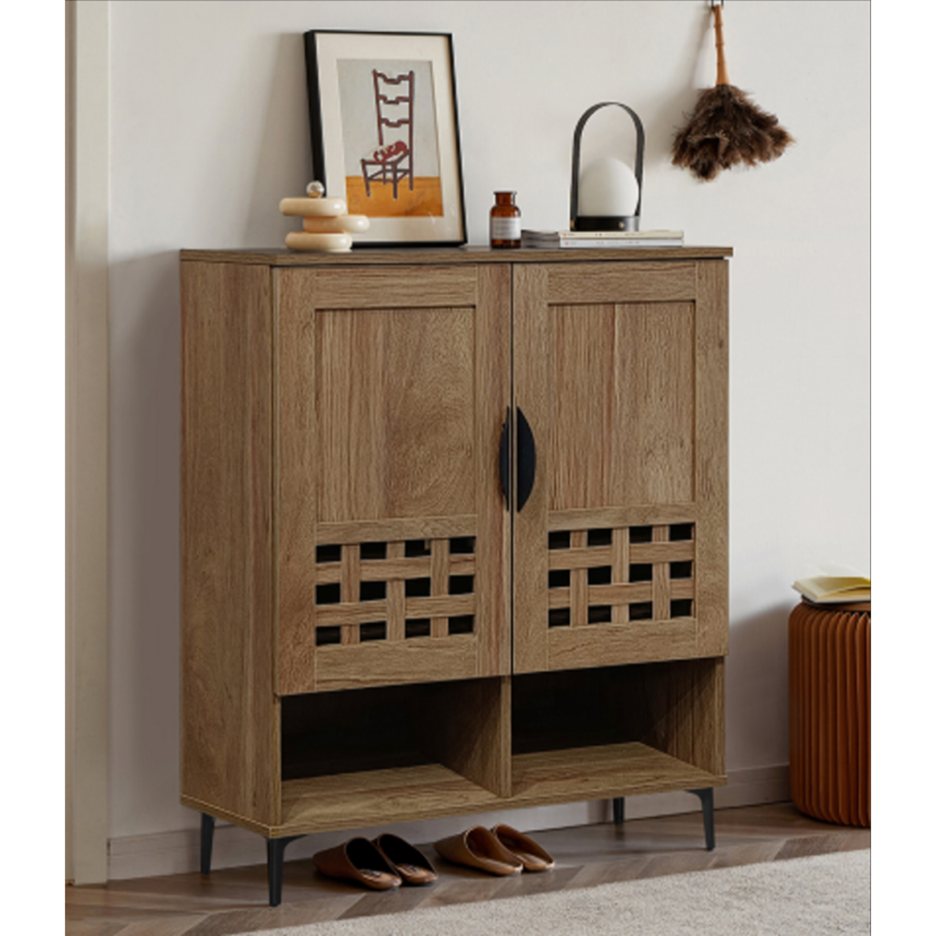 Lsadora 2 Door Shoe Cabinet