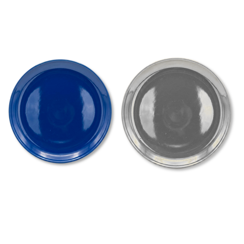 Solid Gloss 10" Dinner Plate
