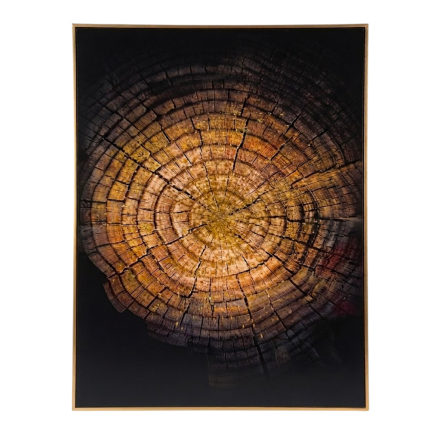 Grand Oak 24 x 31.5" Framed Wall Art