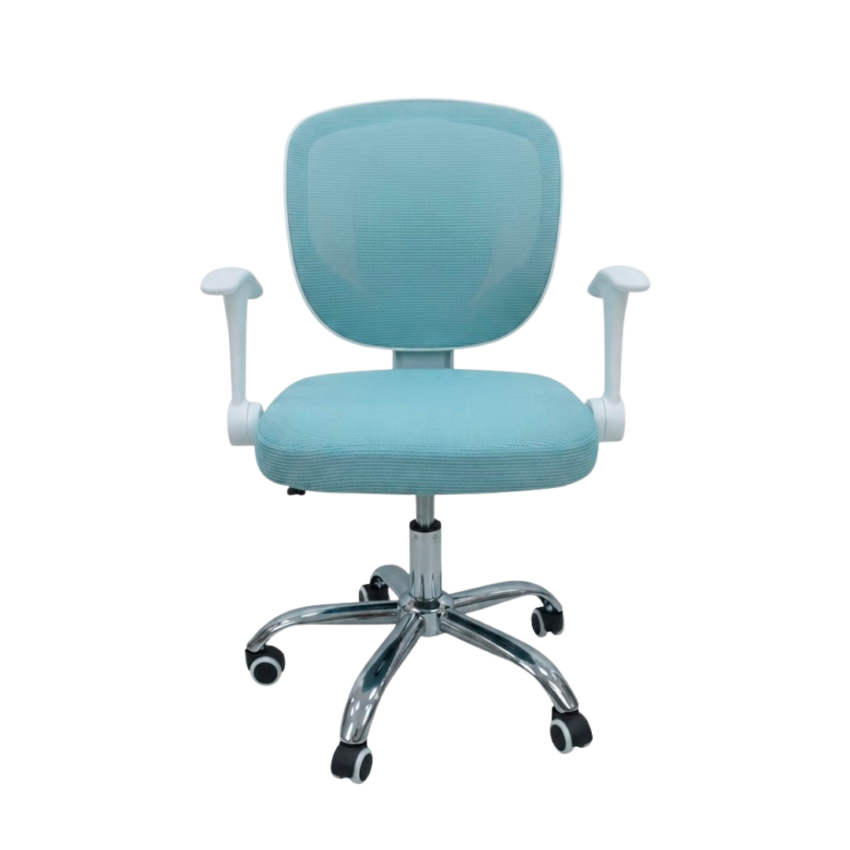 Sage Green Mesh/Plastic Office Chair