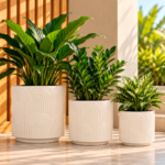 Large
